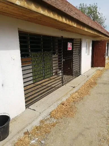 Pensiune Cazare Canina - Sibiu pet otel