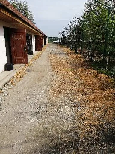 Pensiune Cazare Canina - Sibiu pet otel görseli 3