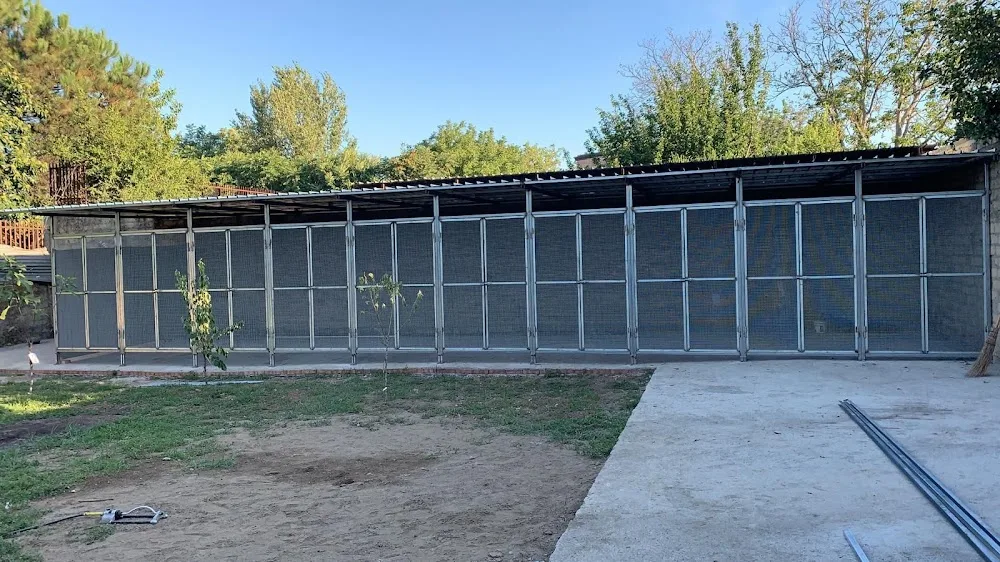 Addestramento e Pensione per Cani - Sicily pet otel görseli 3