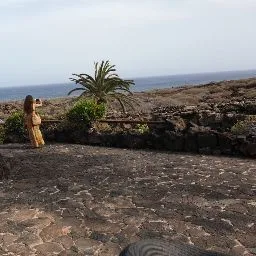 Allevamento della Coronaa - Sicily pet otel görseli 4