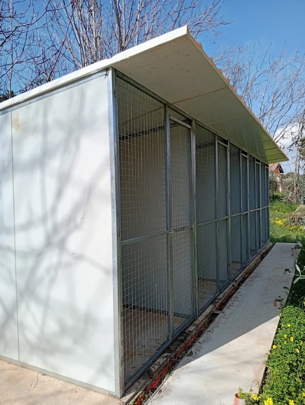 Animalandia - Pensione per Cani - Sicily pet otel