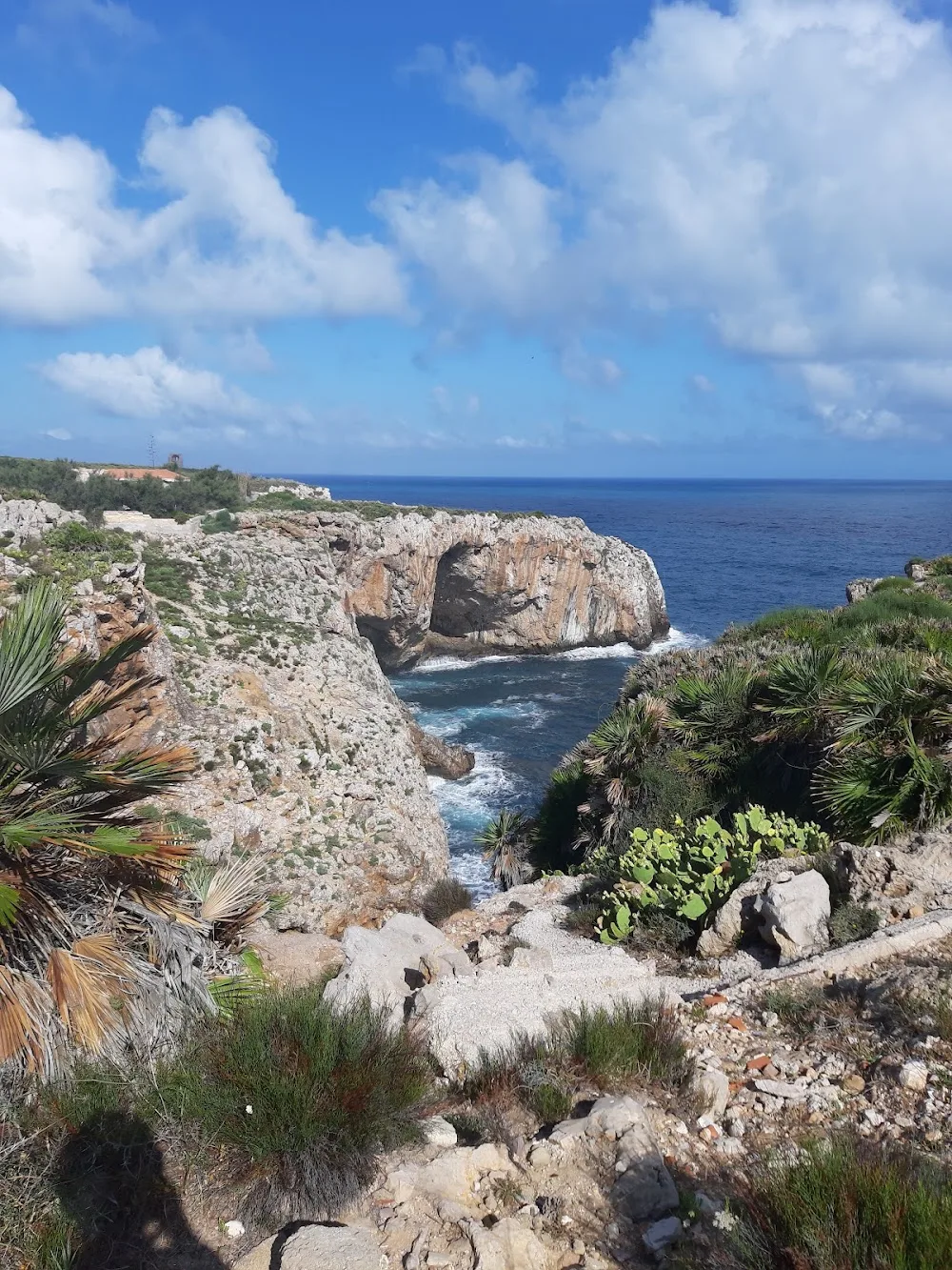 Centro cinotecnico di capo rama - Sicily pet otel görseli 3