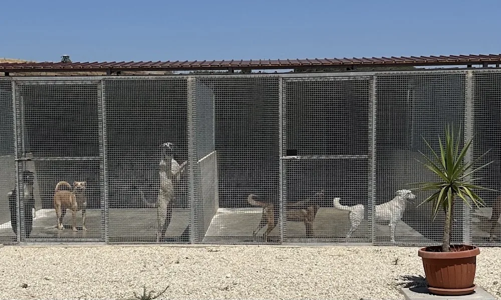Dog's Garden - Sicily pet otel