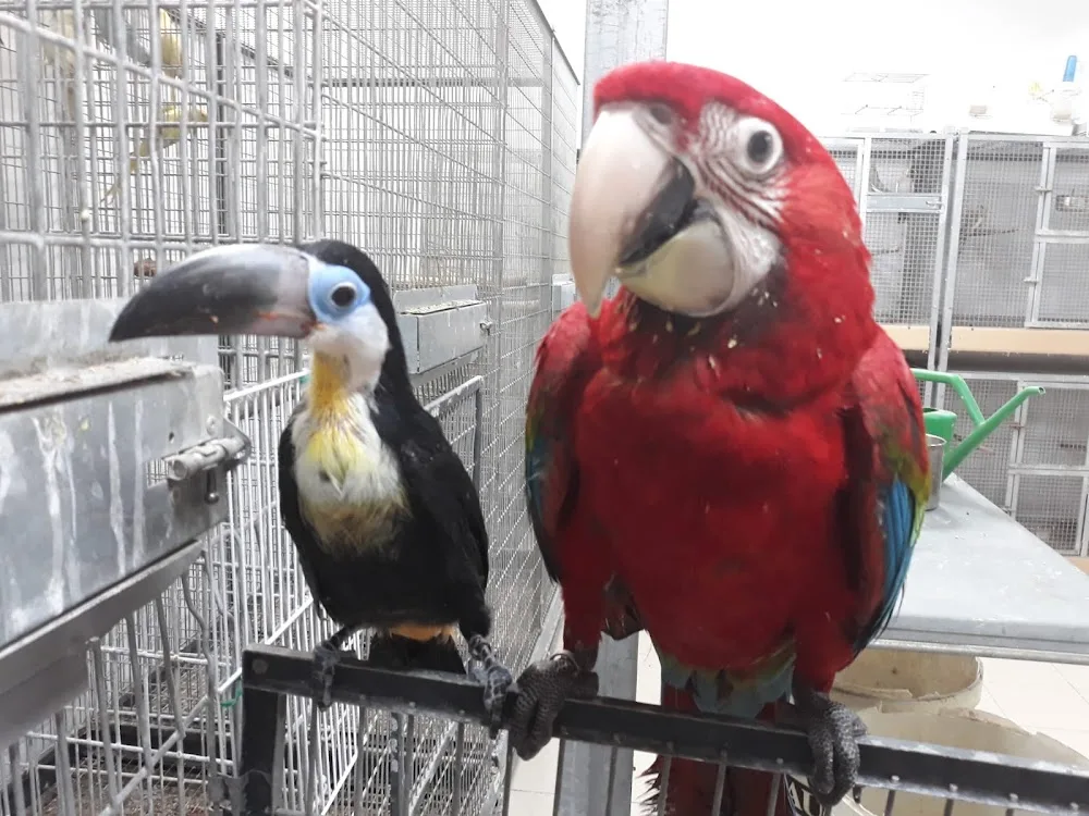 Emporio degli Animali - Sicily pet otel