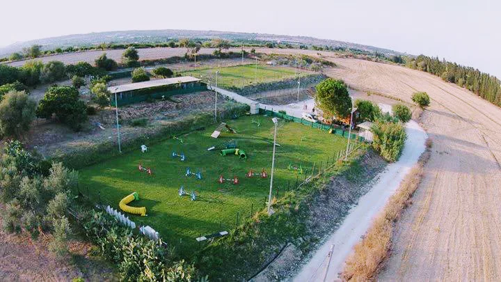 Into The Wild Dog Village - The Barking Dog - Sicily pet otel
