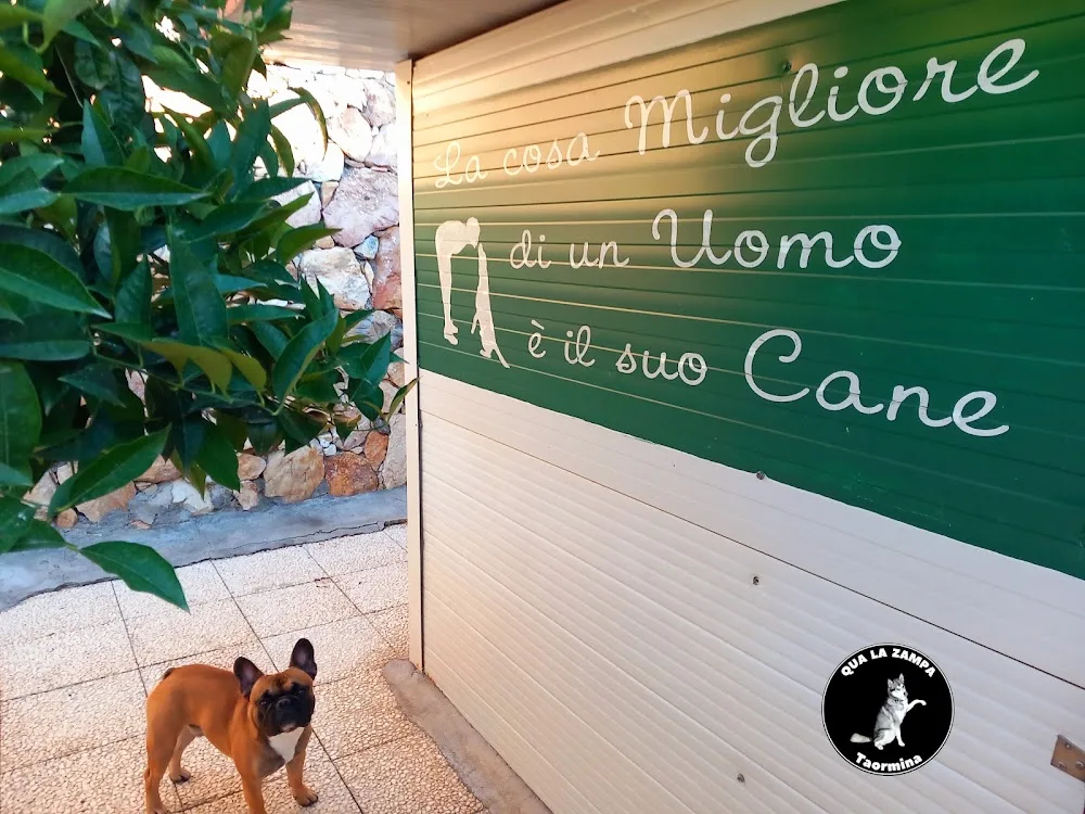 Qua La Zampa Taormina di Crisafulli Marco Pensione e Toelettatura per Cani e Gatti - Sicily pet otel görseli 3