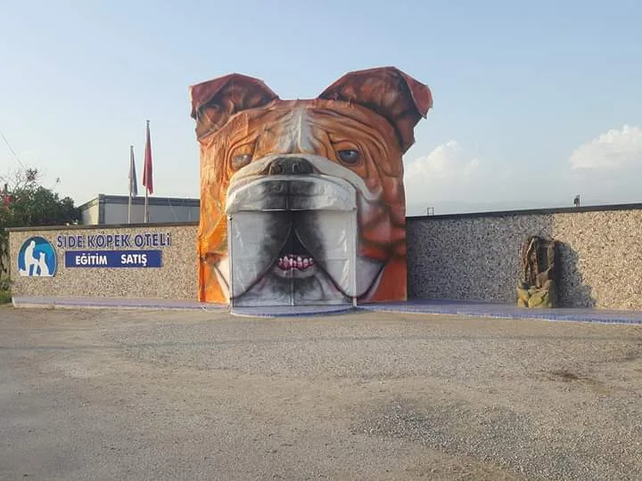 SİDE Köpek Oteli Eğitim Merkezi - Side pet otel görseli 2