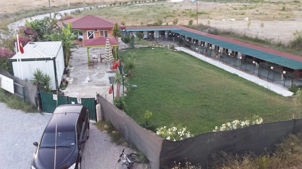 SİDE Köpek Oteli Eğitim Merkezi - Side pet otel görseli 3