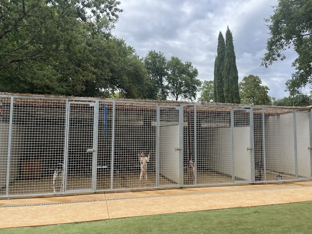 Centro Cinofilo Sant’Antonio - Siena pet otel