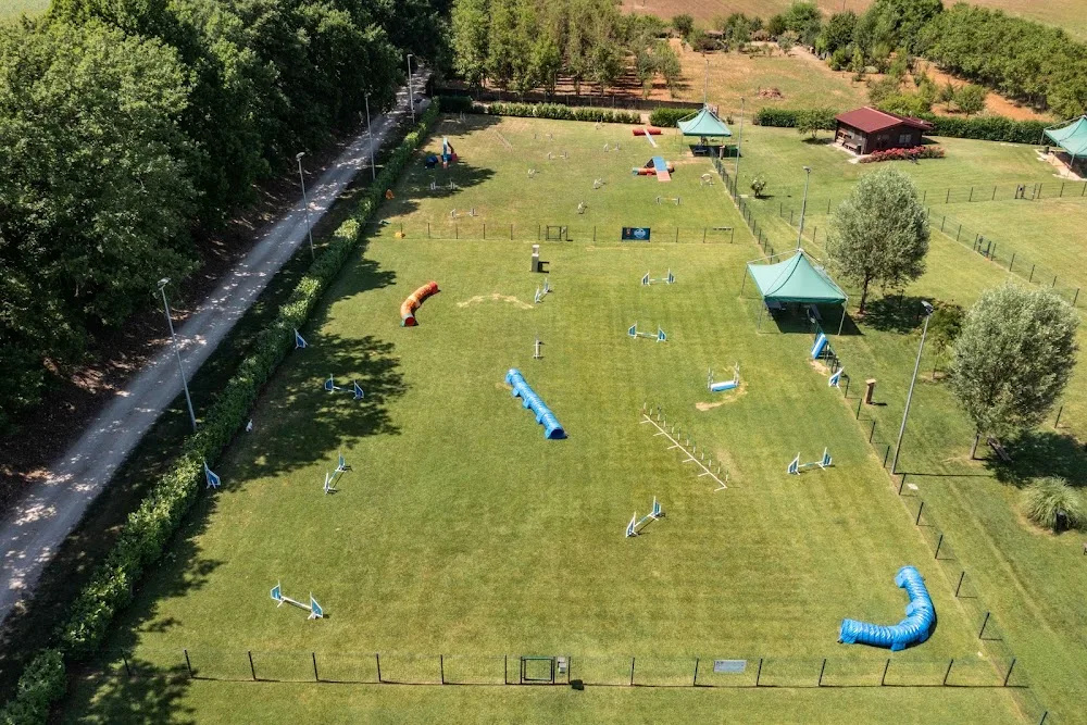 Cocca Pet Village - Centro Cinofilo Siena - Siena pet otel görseli 3