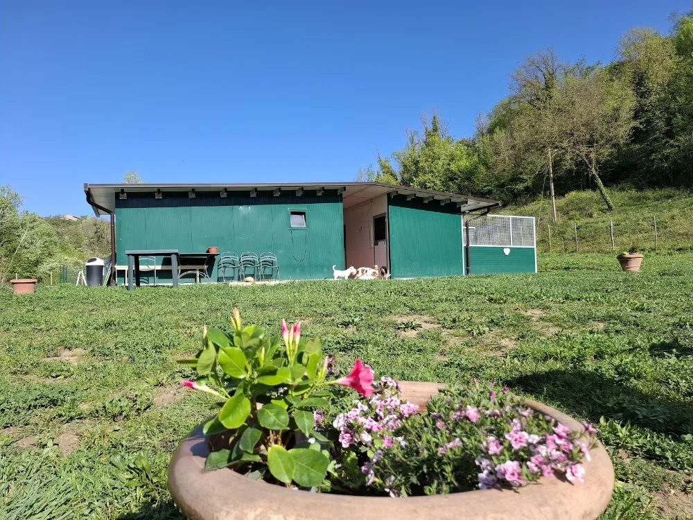 Pensione per cani "L'Oasi" - Siena pet otel görseli 7
