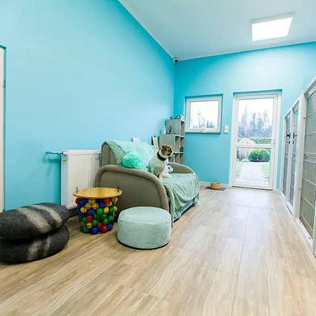 SPANIE NA SIANIE hotel dla psów i salon groomerski - Silesia pet otel