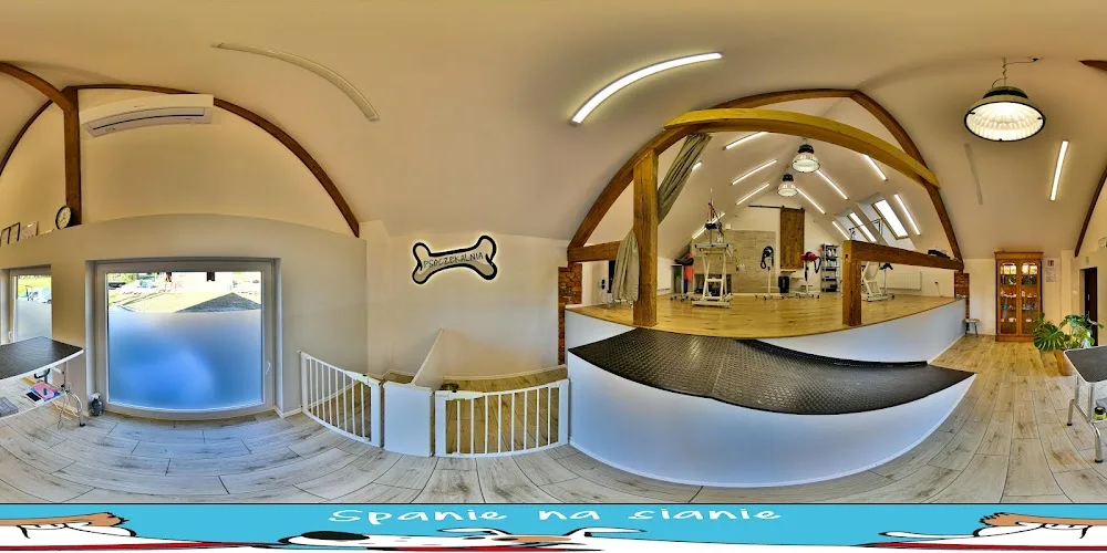 SPANIE NA SIANIE hotel dla psów i salon groomerski - Silesia pet otel görseli 3