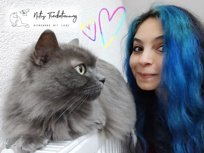 Nitus Tierbetreuung - Betreuung mit Liebe - Sindelfingen pet otel