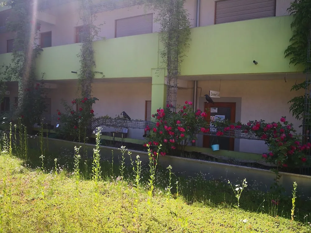 BoardingHouse Sinsheim - Sinsheim pet otel görseli 2
