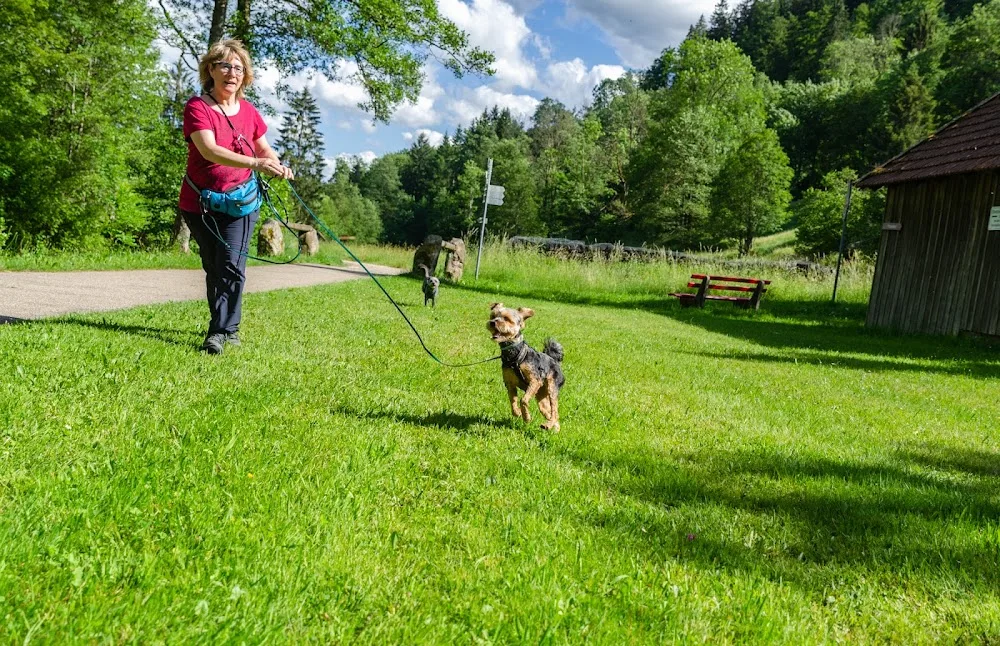 Pfotenglück Kraichgau, Hundeinternat u. Hundetraining Inh. Annett Heinzmann - Sinsheim pet otel görseli 3