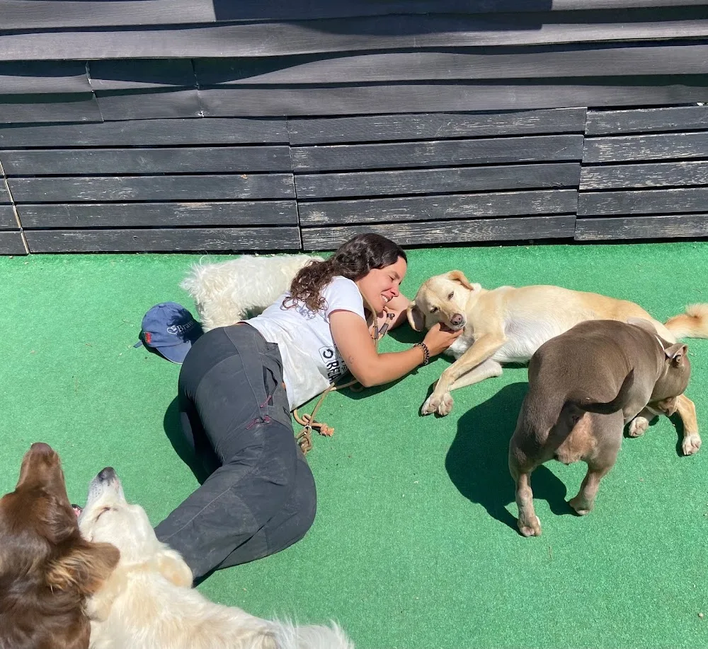 Bravo Resort & Dog Academy - Sintra pet otel