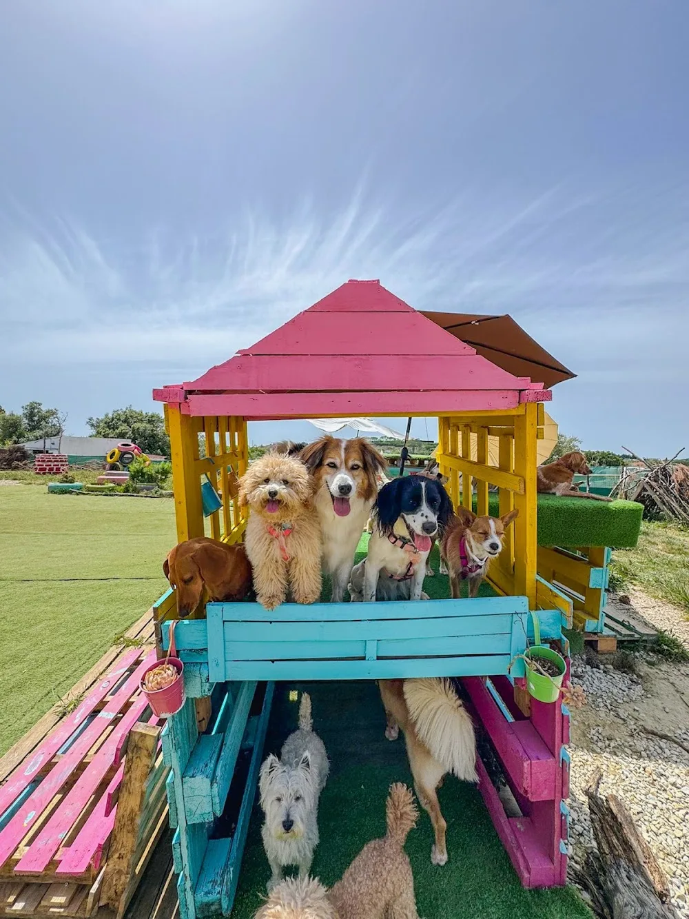 CASA Petsitting - Sintra pet otel