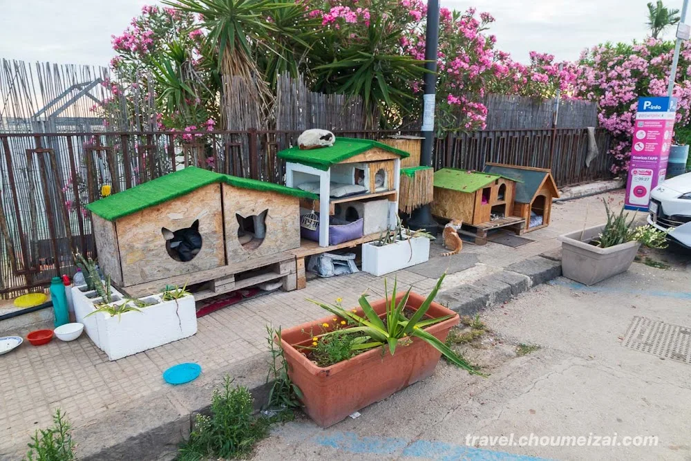 Kitty Cat Hotel - Siracusa pet otel görseli 3