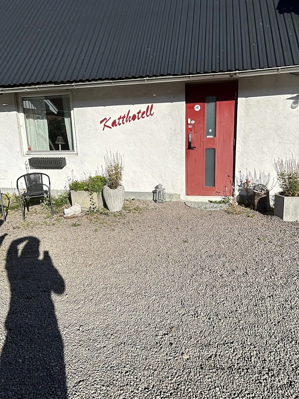 Engelholms katthotell - Skåne pet otel