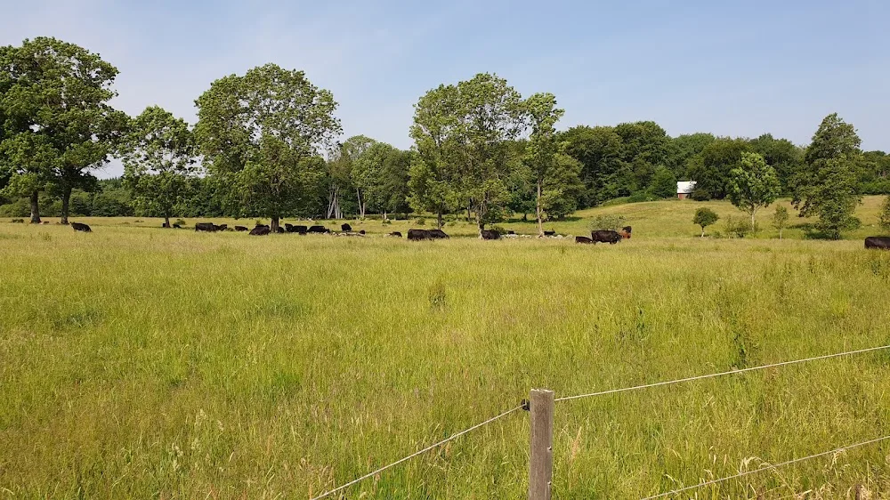 Killeröds Ängar Semlans Kennel - Skåne pet otel görseli 3