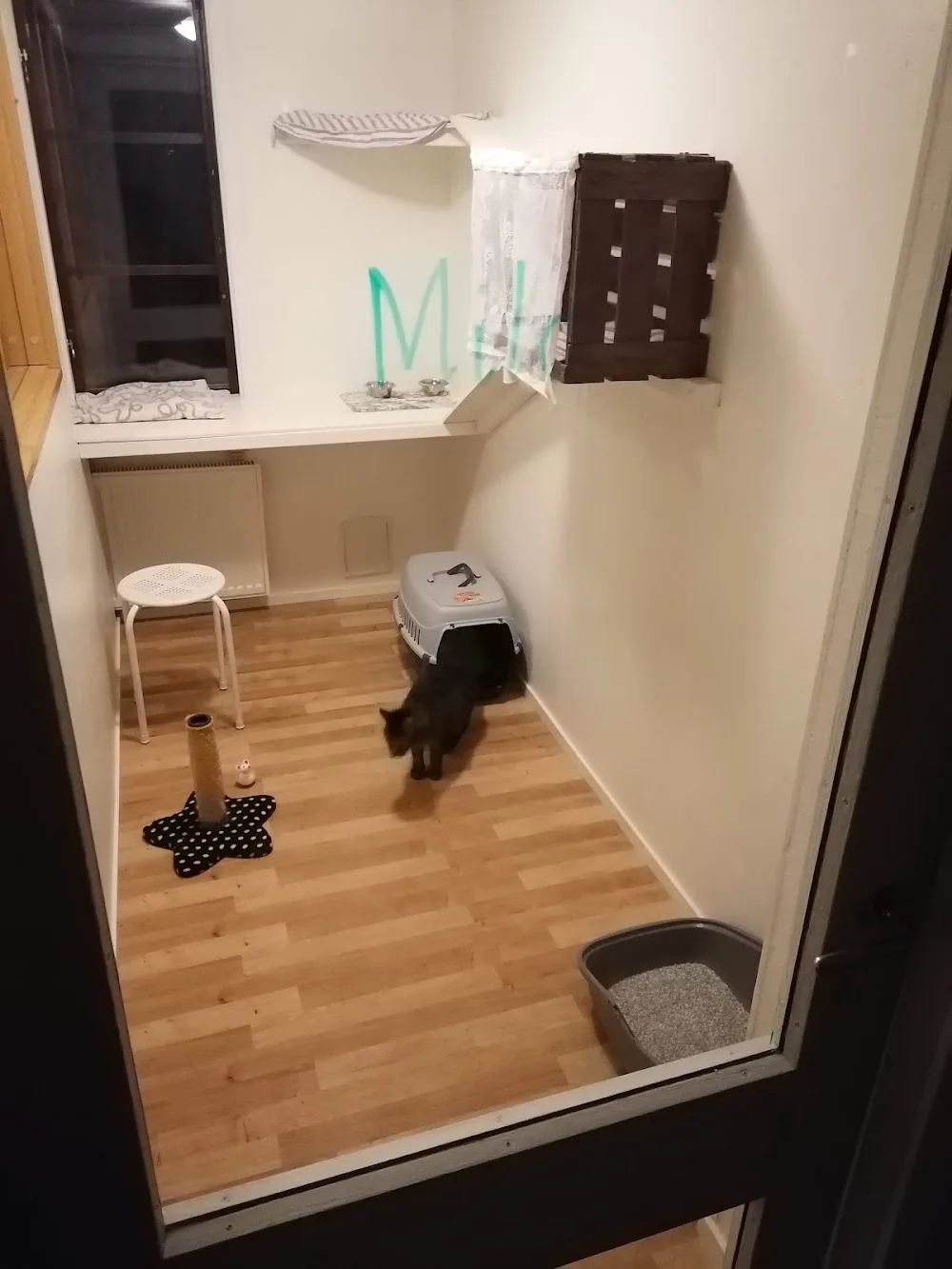 Kristianstad kattpensionat - Skåne pet otel görseli 3