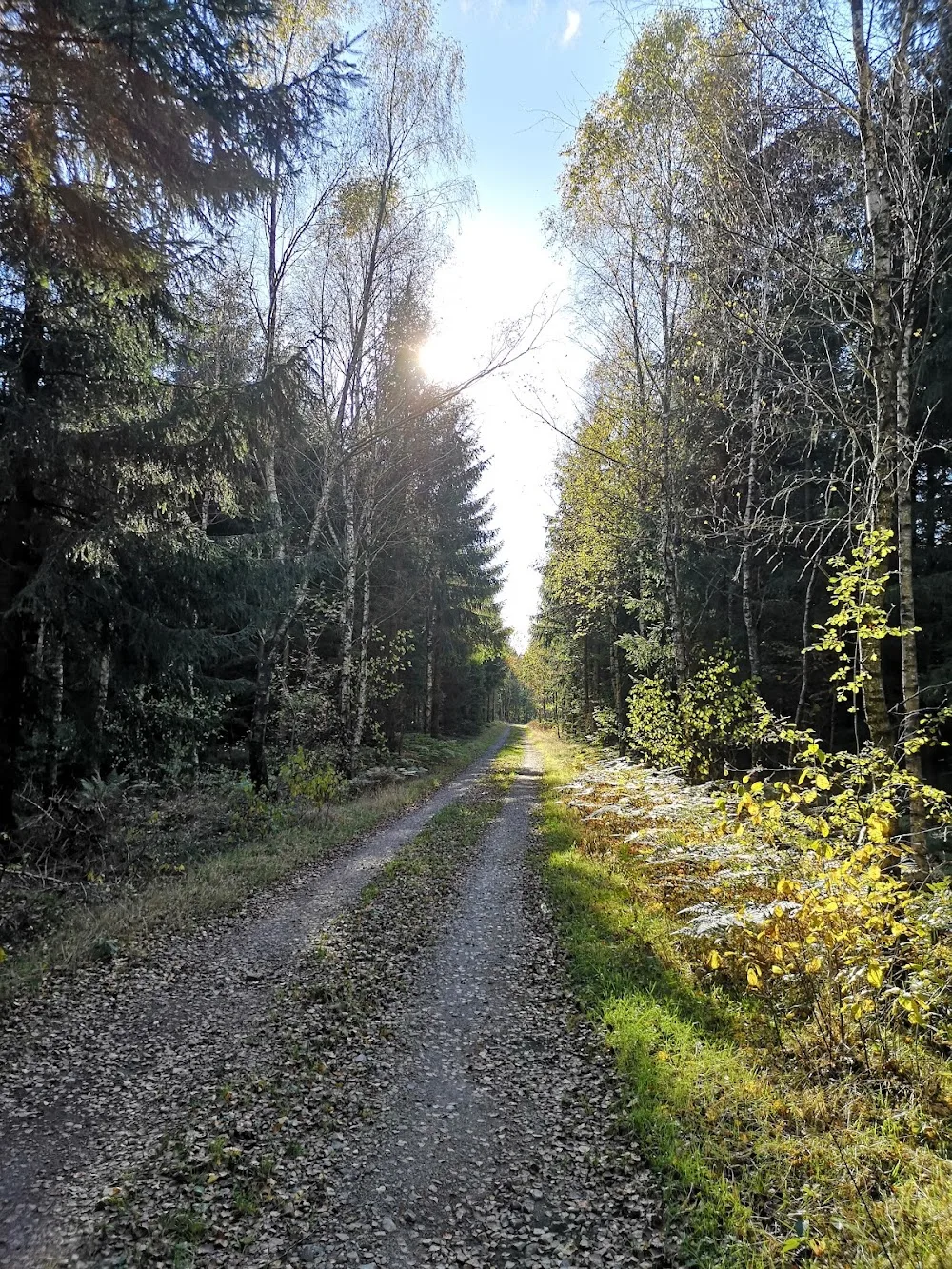 Kylestorp Hundpensionat - Skåne pet otel