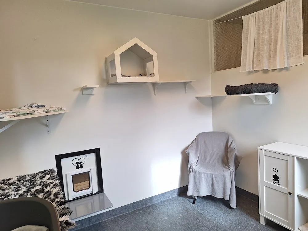Lilla Katthotellet - Kattpensionat Skåne - Skåne pet otel görseli 3