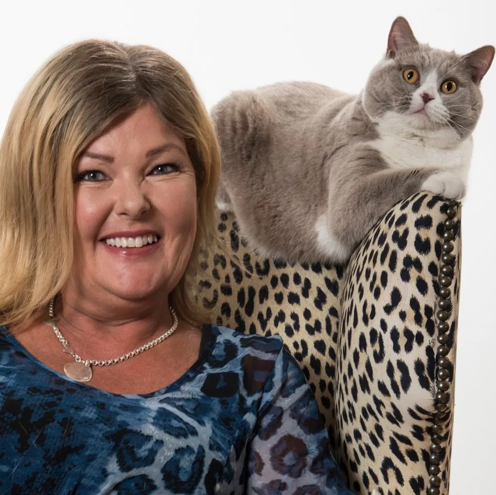 Lilla Katthotellet - Kattpensionat Skåne - Skåne pet otel görseli 5
