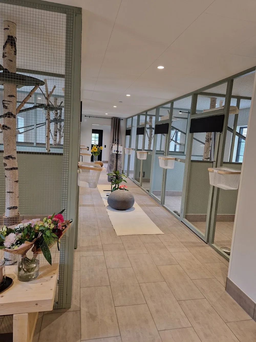 Lunnagårdens Kattpensionat - Skåne pet otel