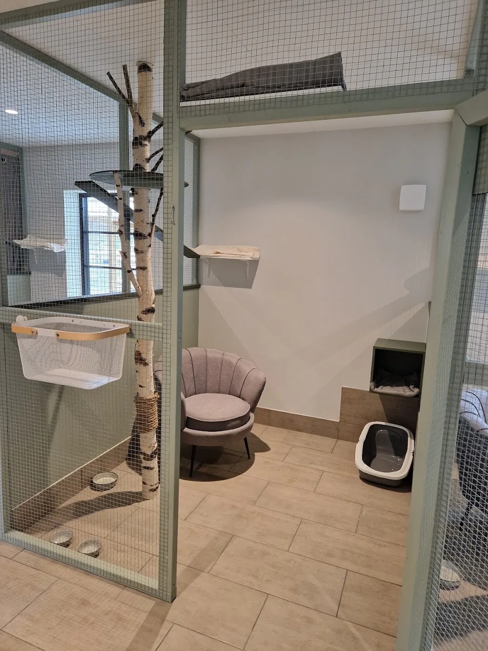 Lunnagårdens Kattpensionat - Skåne pet otel görseli 3