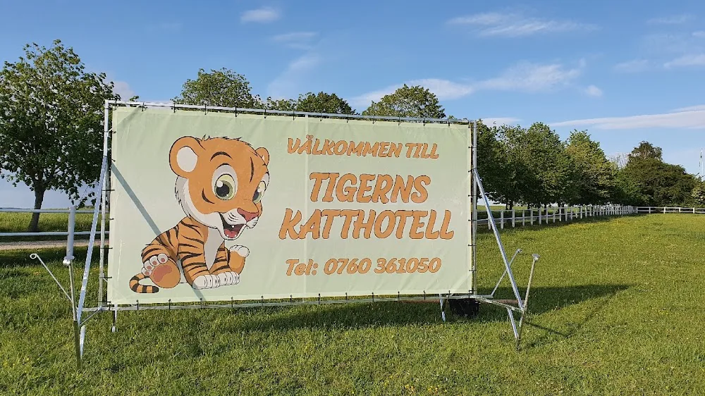 Tigerns katthotell - Skåne pet otel