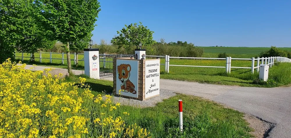 Tigerns katthotell - Skåne pet otel görseli 3