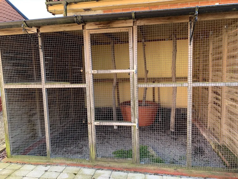 Tinas Katthotell - Skåne pet otel