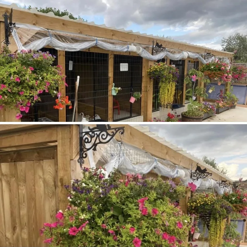 Little Jems Cattery - Slough pet otel