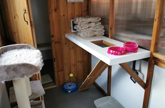 The Willows Cattery - Slough pet otel görseli 3