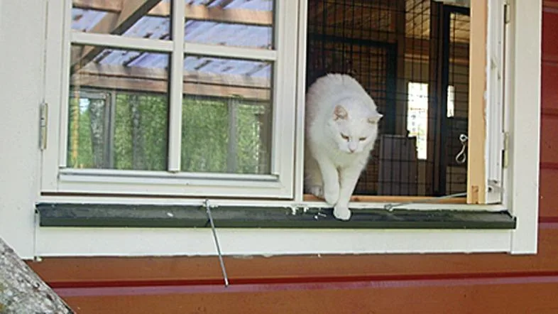 Agnetas kattpensionat - Södermanland pet otel