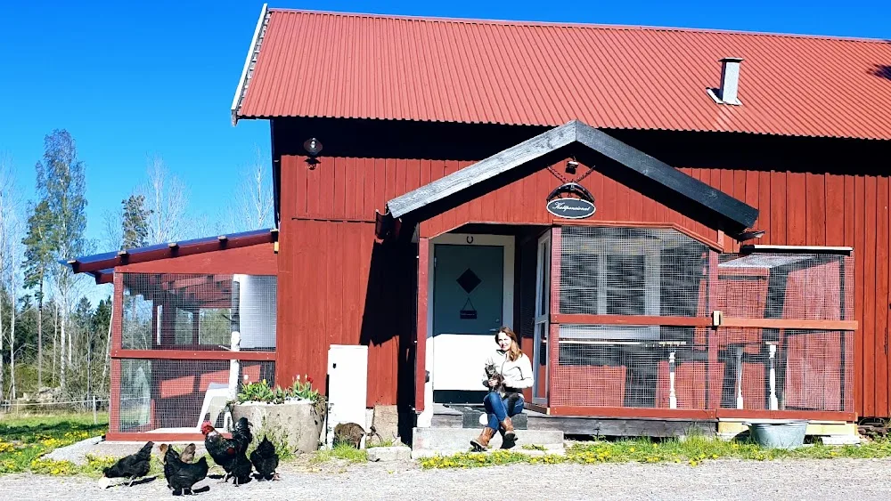 Kattpensionatet i Hedlandet - Södermanland pet otel