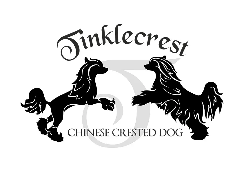 Kennel Tinklecrest - Södermanland pet otel görseli 3