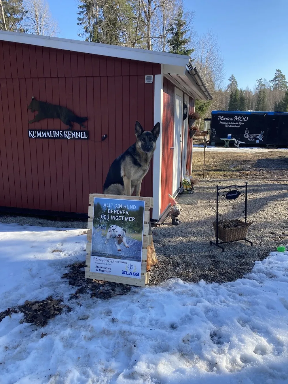 Maries MOD - Södermanland pet otel