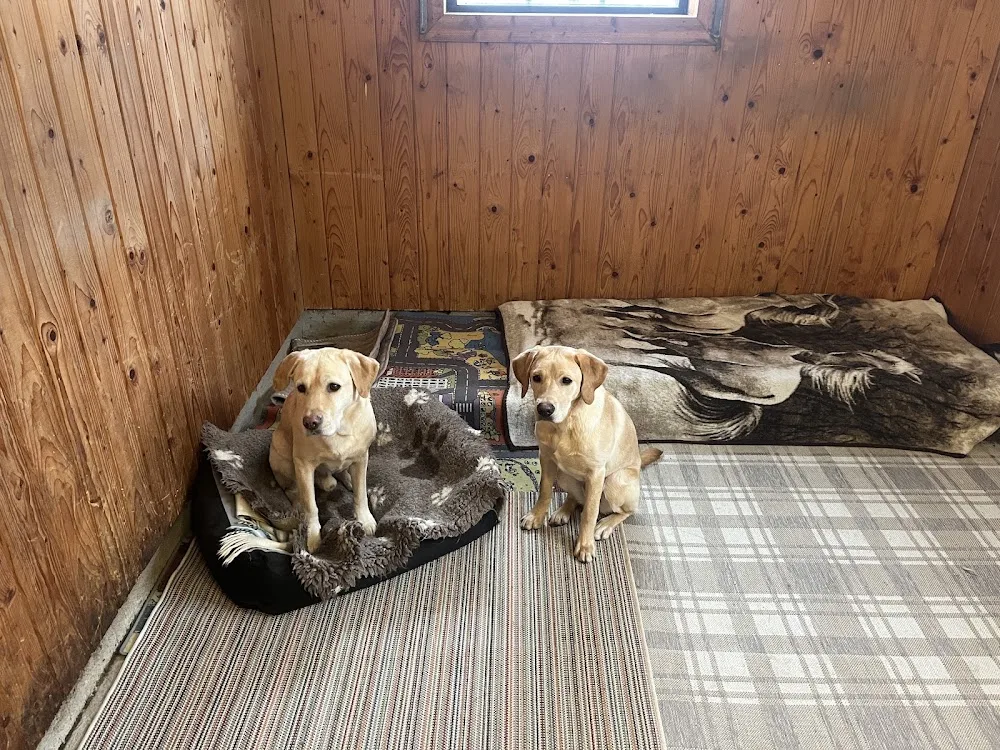 Myntarbols Hundpensionat - Södermanland pet otel görseli 3