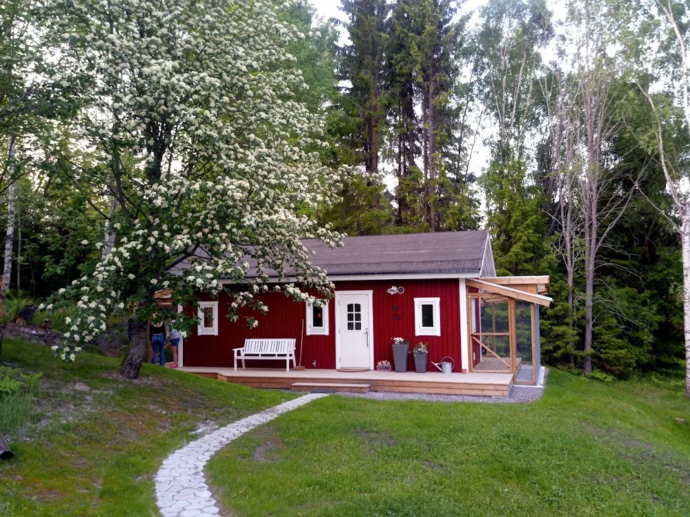 Sille kattpensionat - Södermanland pet otel görseli 3