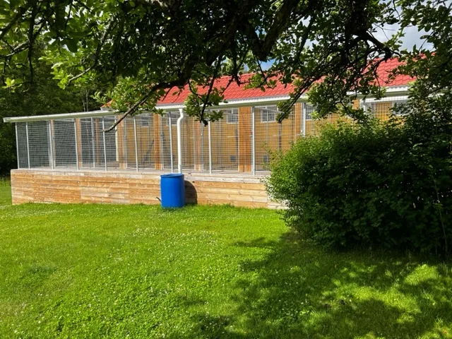 Stoltheten's Kattpensionat - Södermanland pet otel görseli 3