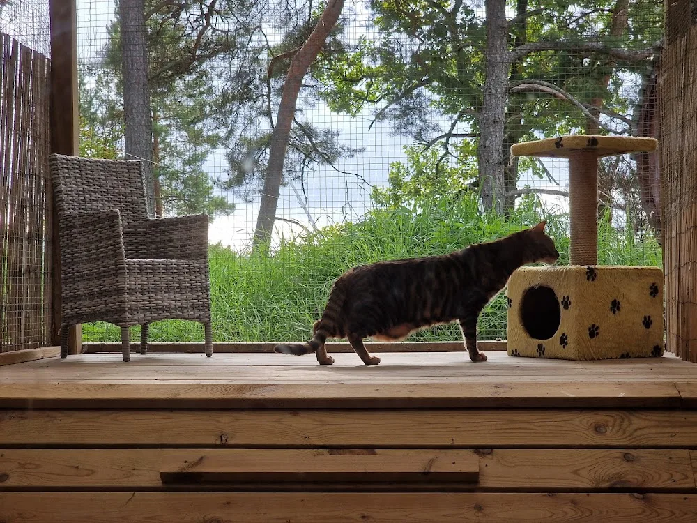 Kattmandu Kattpensionat - Sollentuna pet otel
