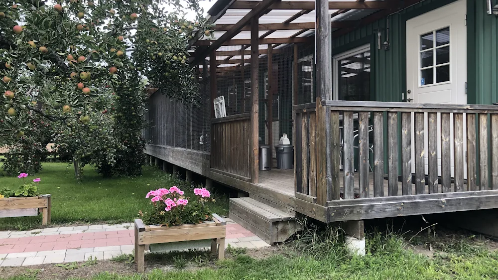 Kattpensionat Sagatun - Sollentuna pet otel
