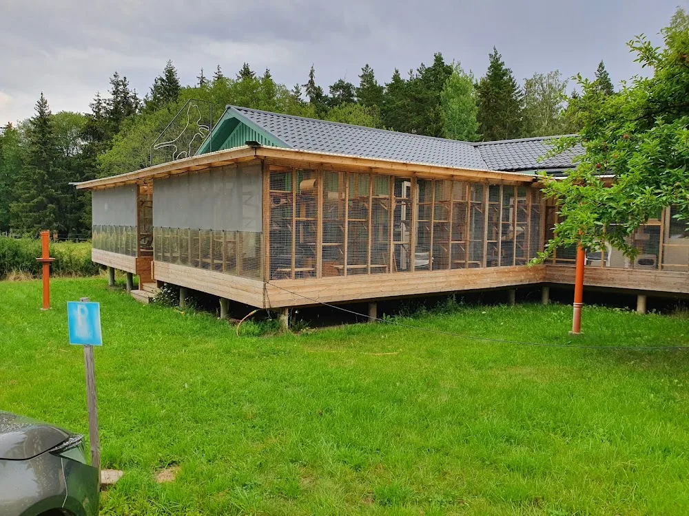 Kattpensionat Sagatun - Sollentuna pet otel görseli 3