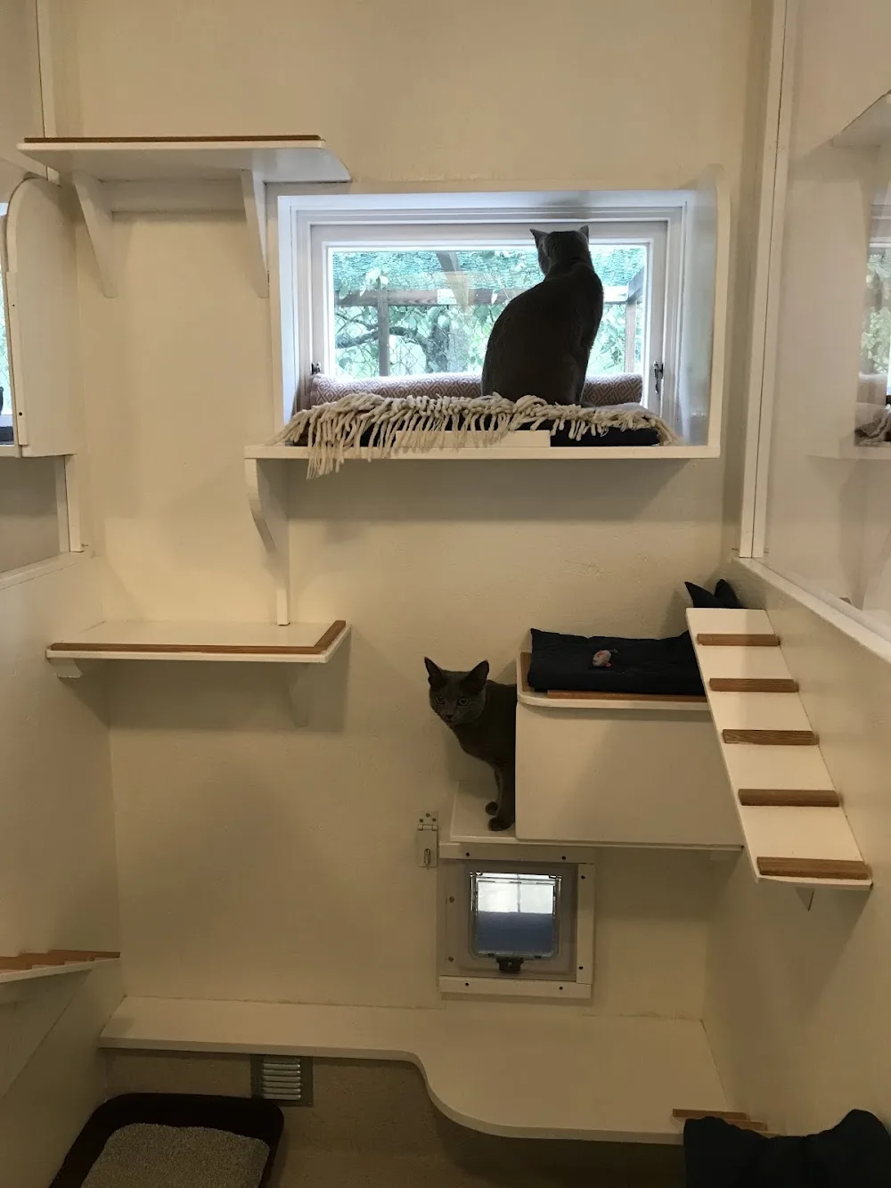 Lohaga Kattpensionat - Sollentuna pet otel görseli 3