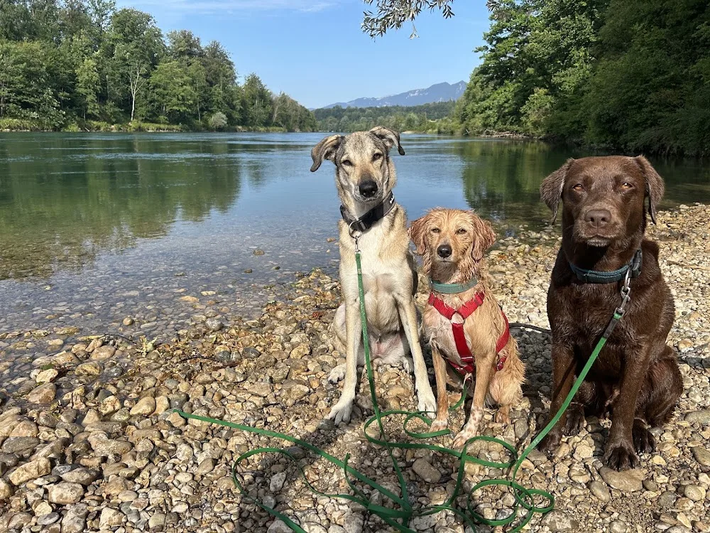 Good Dog Days - Tinas HuTa - Solothurn pet otel
