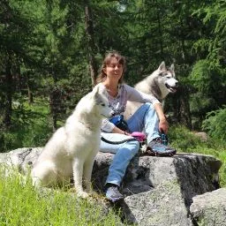 HundeHome - Solothurn pet otel görseli 5