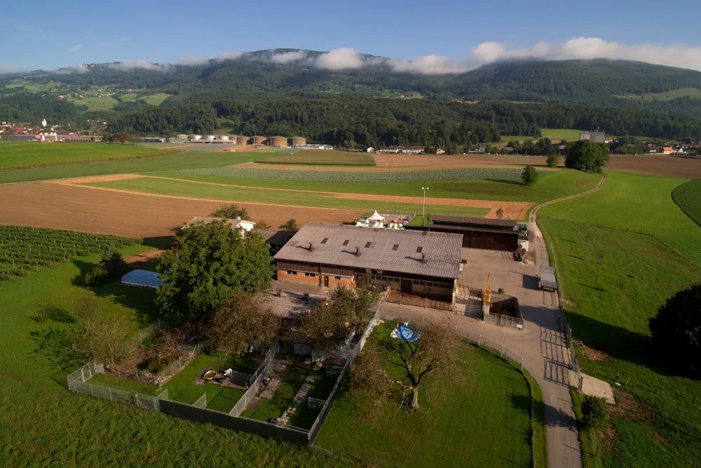 Hundeschule Barry und Hundepension - Solothurn pet otel